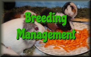 Breeding management